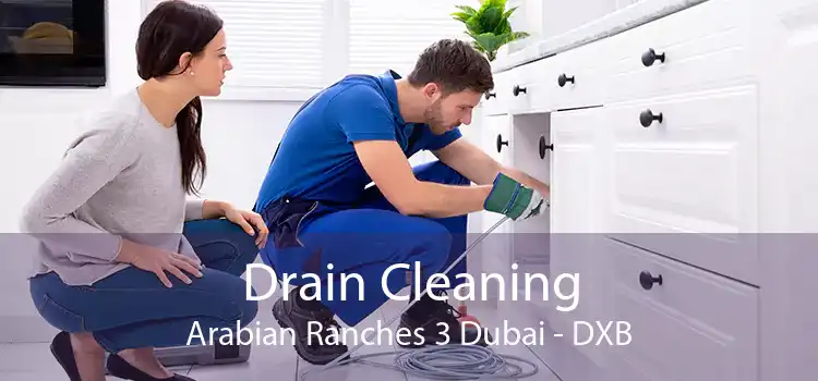 Drain Cleaning Arabian Ranches 3 Dubai - DXB