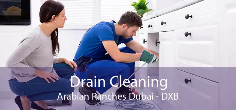 Drain Cleaning Arabian Ranches Dubai - DXB