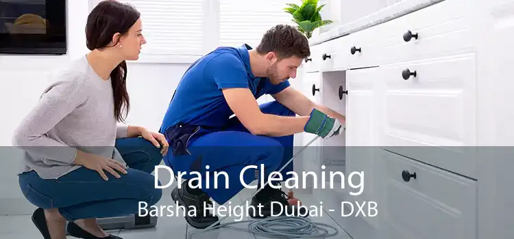 Drain Cleaning Barsha Height Dubai - DXB