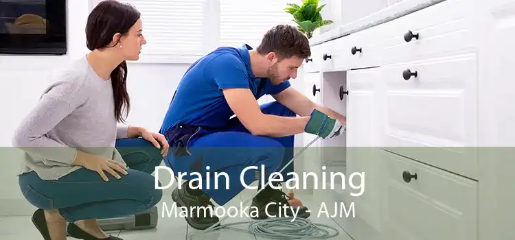 Drain Cleaning Marmooka City - AJM