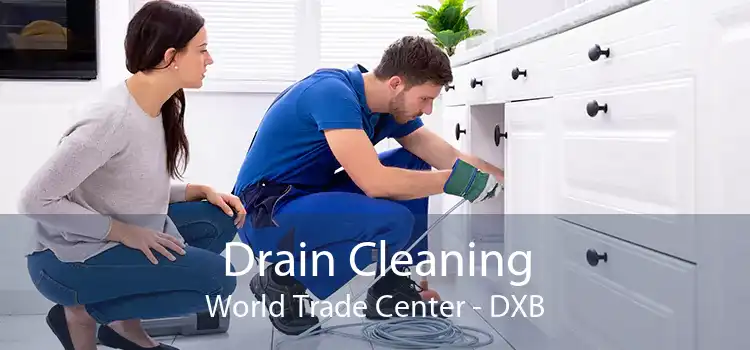 Drain Cleaning World Trade Center - DXB