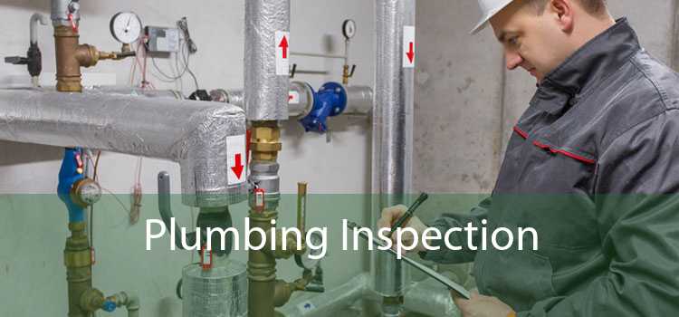 Plumbing Inspection Professional Plumbing System Inspection