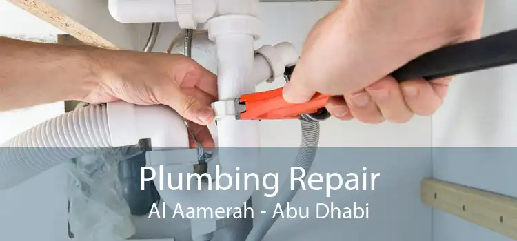 Plumbing Repair Al Aamerah - Abu Dhabi