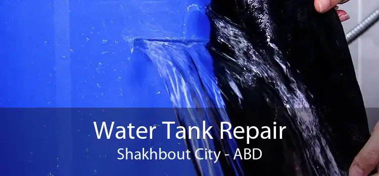 Water Tank Repair Shakhbout City - ABD